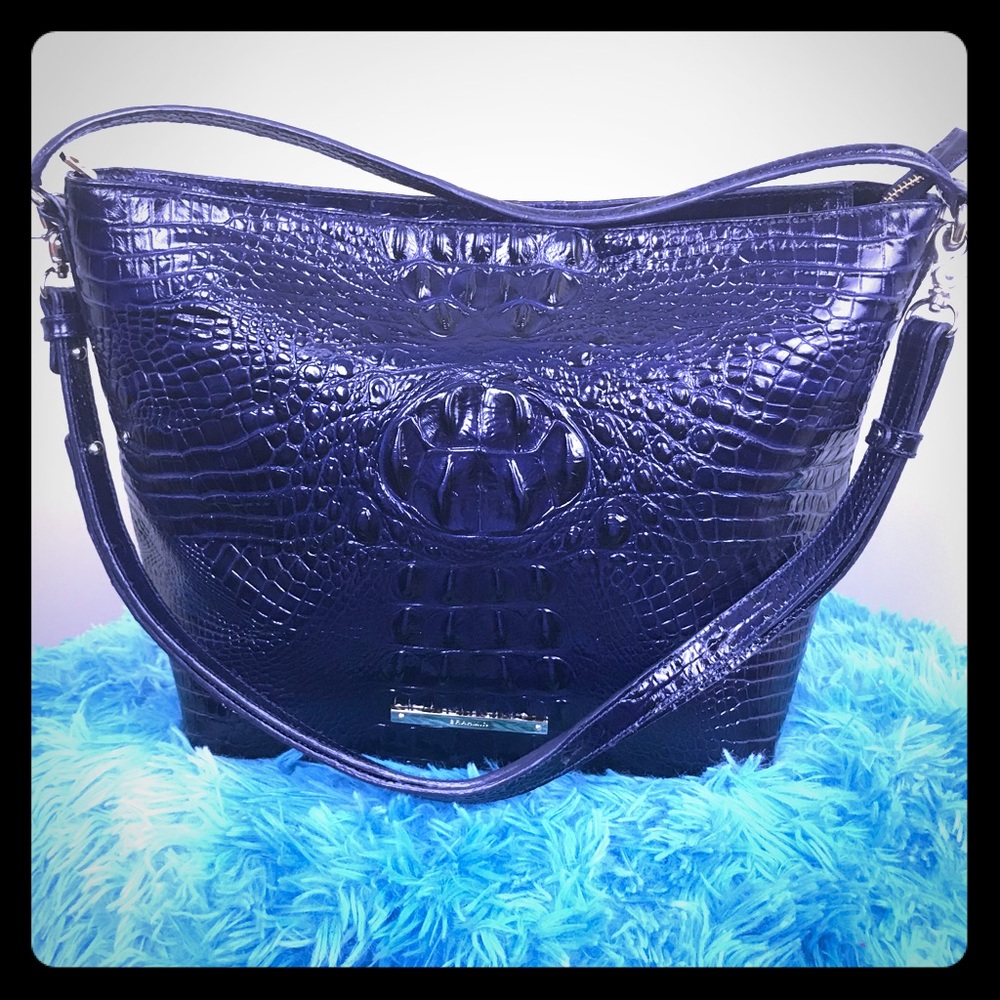 Spectacular blue  Brahmin